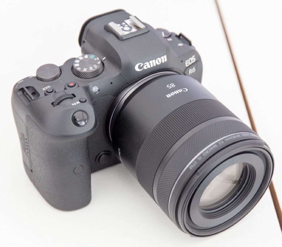 Canon EOS R6 + 24-105